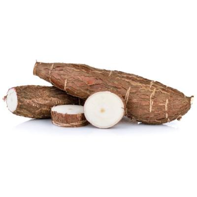 Manioc Frais 5 Kg