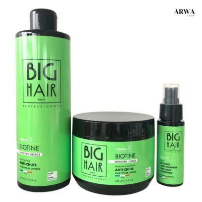 Argan Biotine Anti Chute Lissage - Big Hair Paris