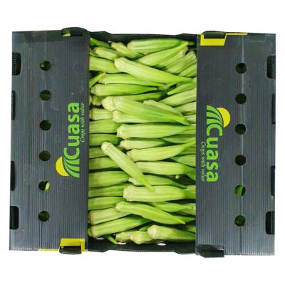 Gombo Frais 4,5 Kg