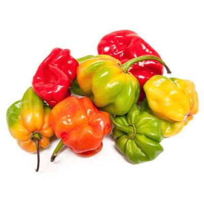 Piment Fort Antillais Frais 1 Kg