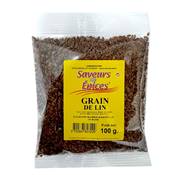 Graine de lin Saveurs des Epices | Carton de 20 x 100g