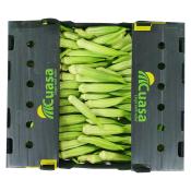 Gombo Frais 4,5 Kg
